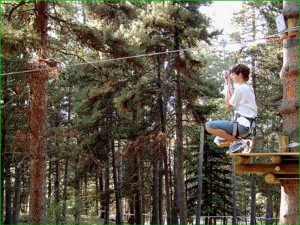 Treetop (2)