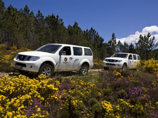 Jeep_Portugal (4)